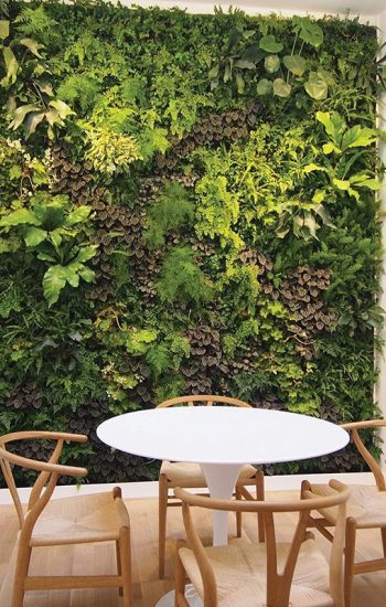 Custom Plant Walls, Vertical Gardens, Living Walls, Green Walls by plantwalldesign New York