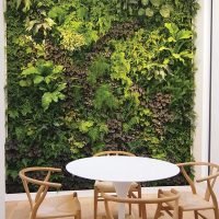 Custom Plant Walls, Vertical Gardens, Living Walls, Green Walls by plantwalldesign New York